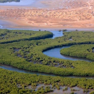 Îles du Saloum Destinations Senegal (2)