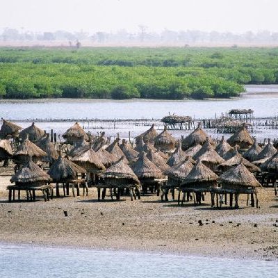 Îles du Saloum Senegal (2)