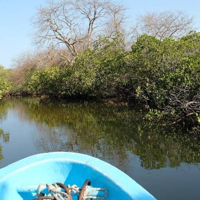 Îles du Saloum Senegal (5)